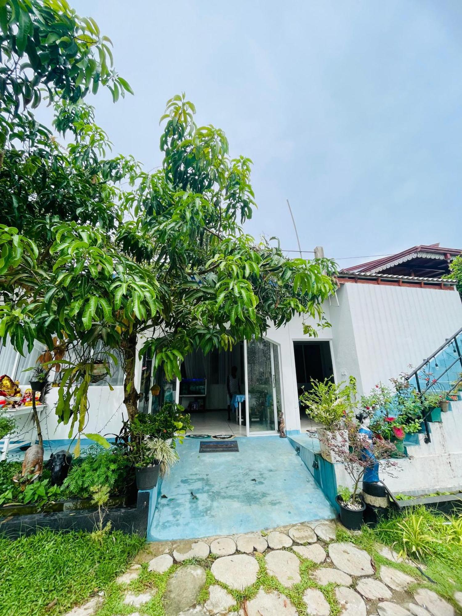 Moon Light Guest Bed & Breakfast Mirissa Exterior photo